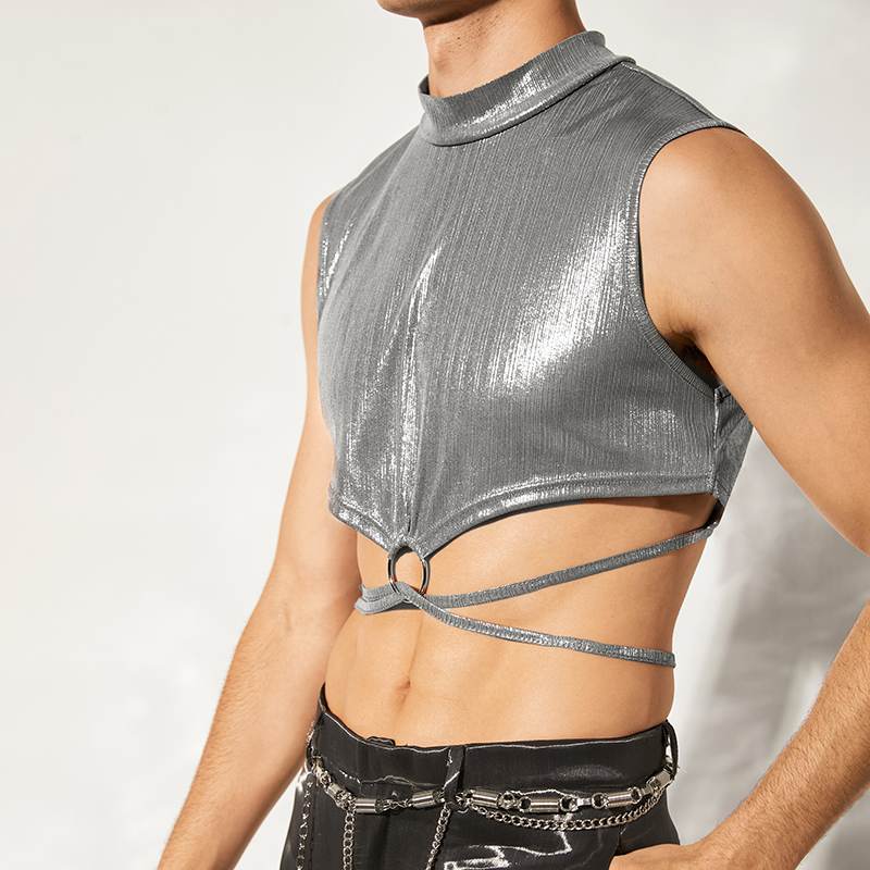 Shining Silver Crop Top