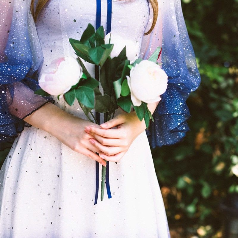 Celestial Fairy Dress